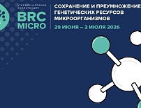V МЕЖДУНАРОДНАЯ КОНФЕРЕНЦИЯ “СОХРАНЕНИЕ И ПРЕУМНОЖЕНИЕ ГЕНЕТИЧЕСКИХ РЕСУРСОВ МИКРООРГАНИЗМОВ” BRCMICRO 2026 </p>