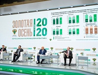 Объявлены победители конкурса “Золотая осень” 2020